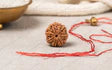Natural 7 Mukhi Rudraksha (Nepali)