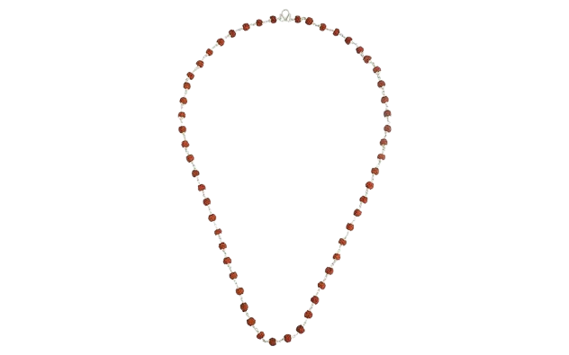Divine 5 Mukhi Rudraksha Mala in Silver