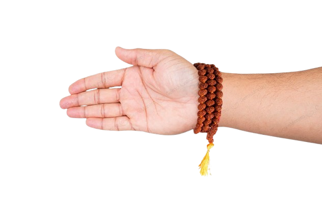 5 Mukhi Japa Rudraksha Mala