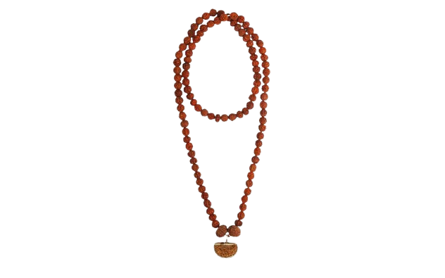 Dhanlaxmi Vriddhi Mala - 1 Mukhi and 9 Mukhi Rudraksha