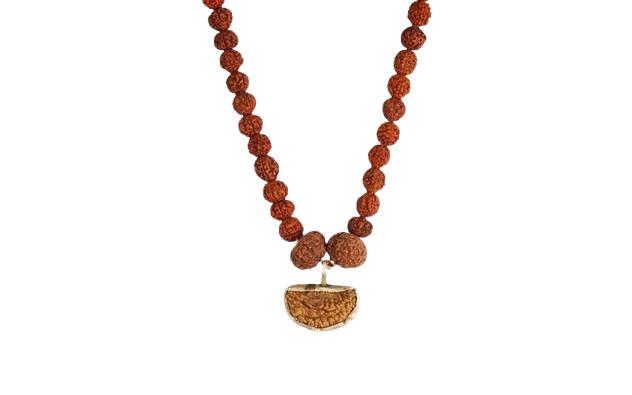 Dhanlaxmi Vriddhi Mala - 1 Mukhi and 9 Mukhi Rudraksha