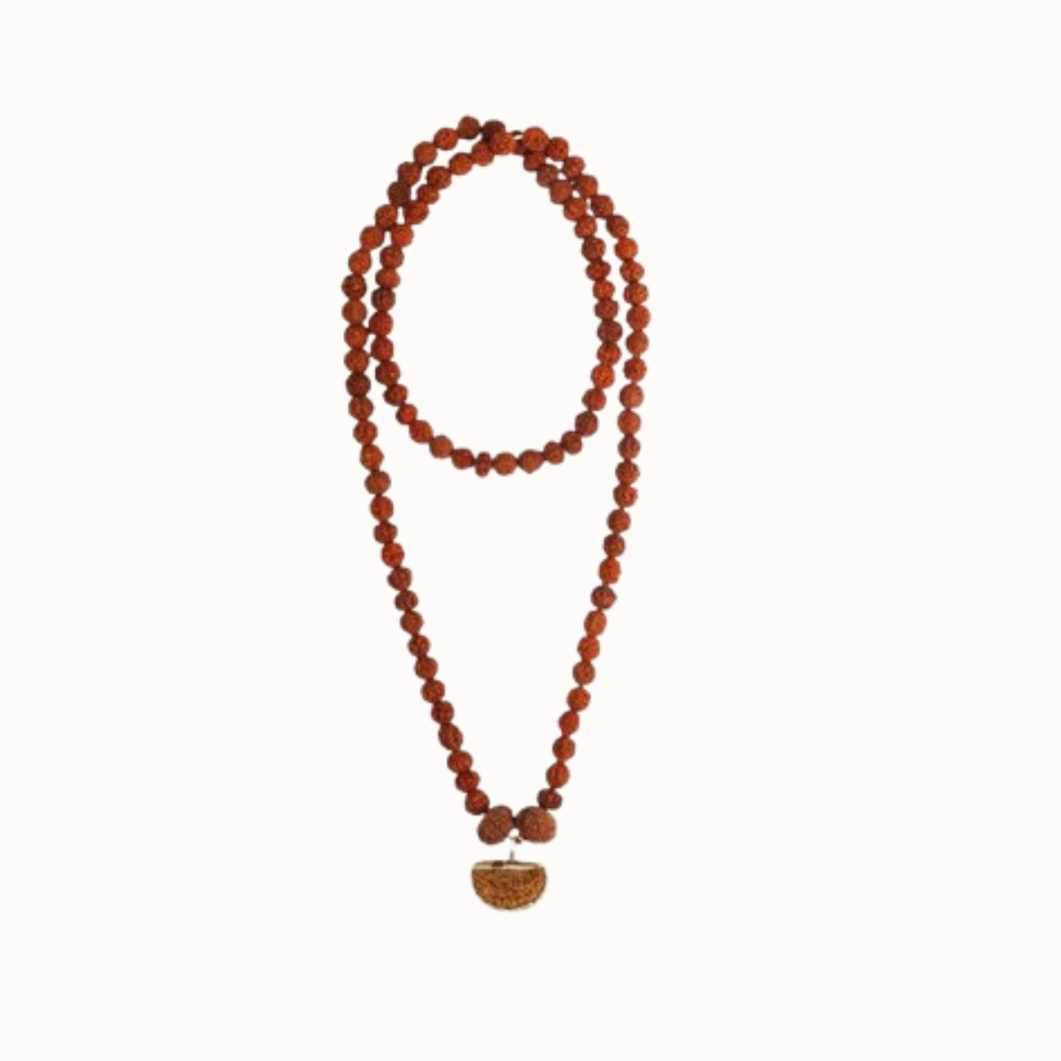 Dhanlaxmi Vriddhi Mala - 1 Mukhi and 9 Mukhi Rudraksha