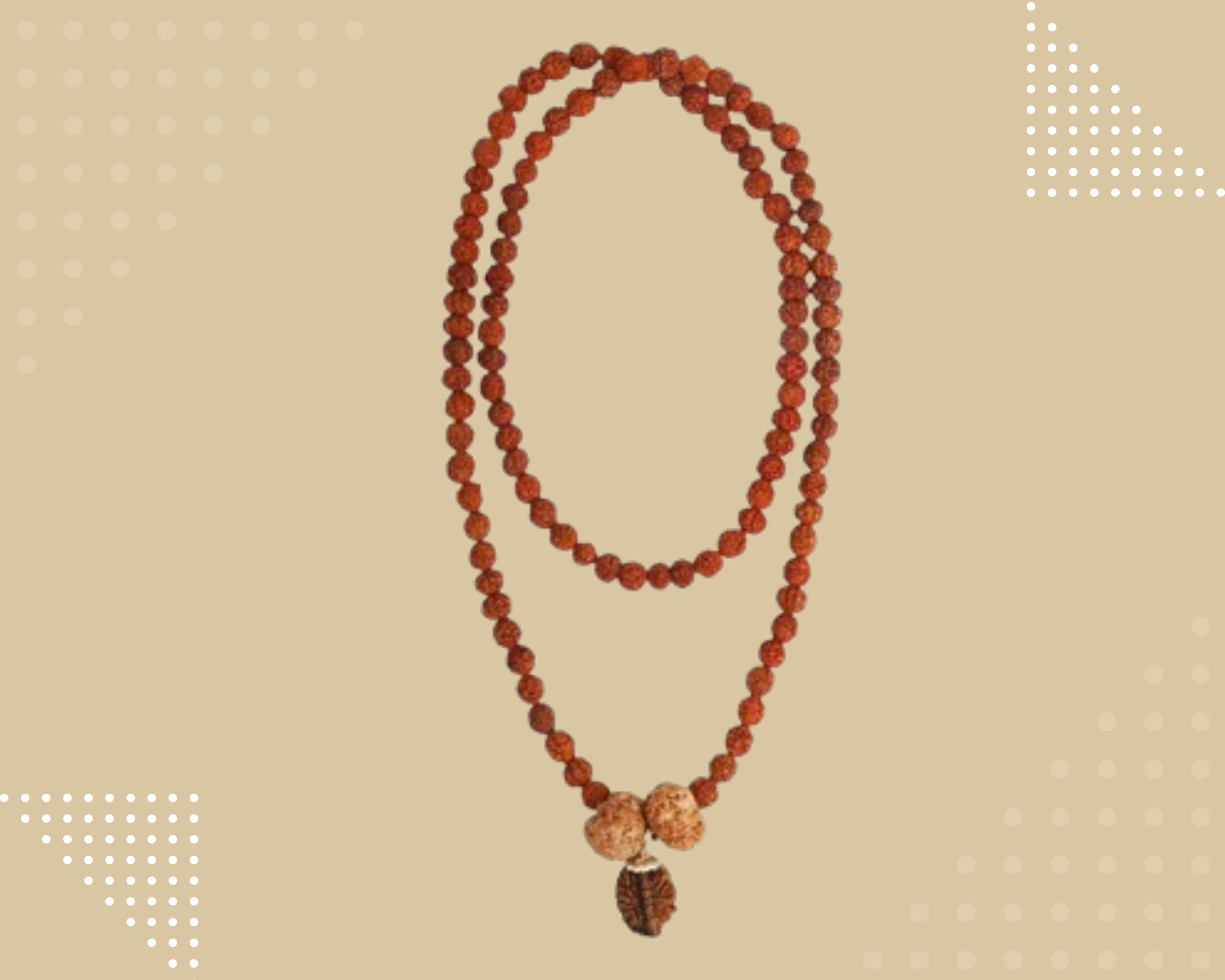 Swasth Vriddhi Mala - 7 Mukhi and 2 Mukhi Rudraksha