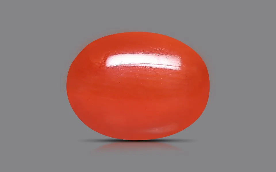 Red Coral - 1.11 Carats