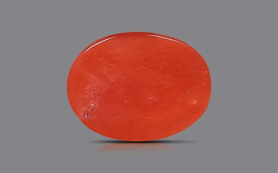 Red Coral - 1.11 Carats