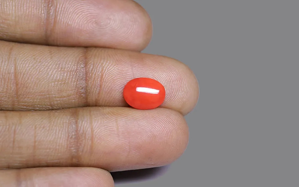 Red Coral - 1.11 Carats